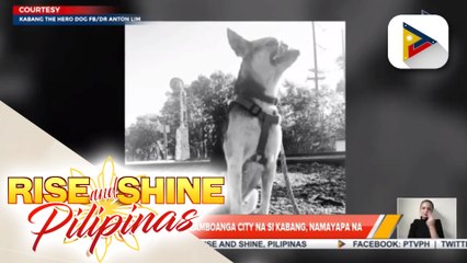 Bayaning aso ng Zamboanga City na si Kabang, namayapa na