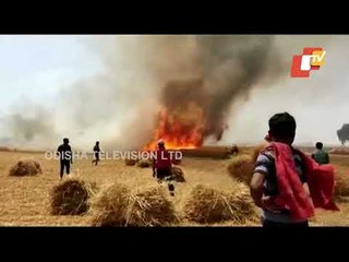 Fire Breaks Out At Farm Land In Prayagraj - Standing Wheat Crop Burnt To Ashes