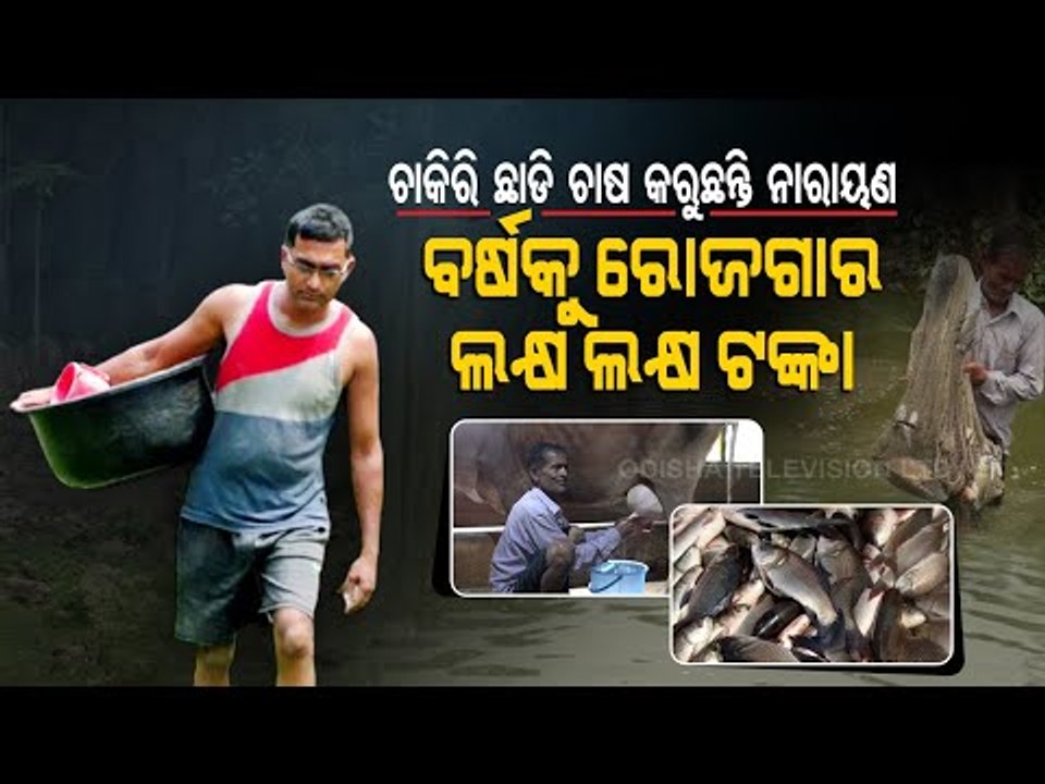 Special Story | Meet Successful Farmer In Bhadrak Who Left His Lucrative Job For Farming