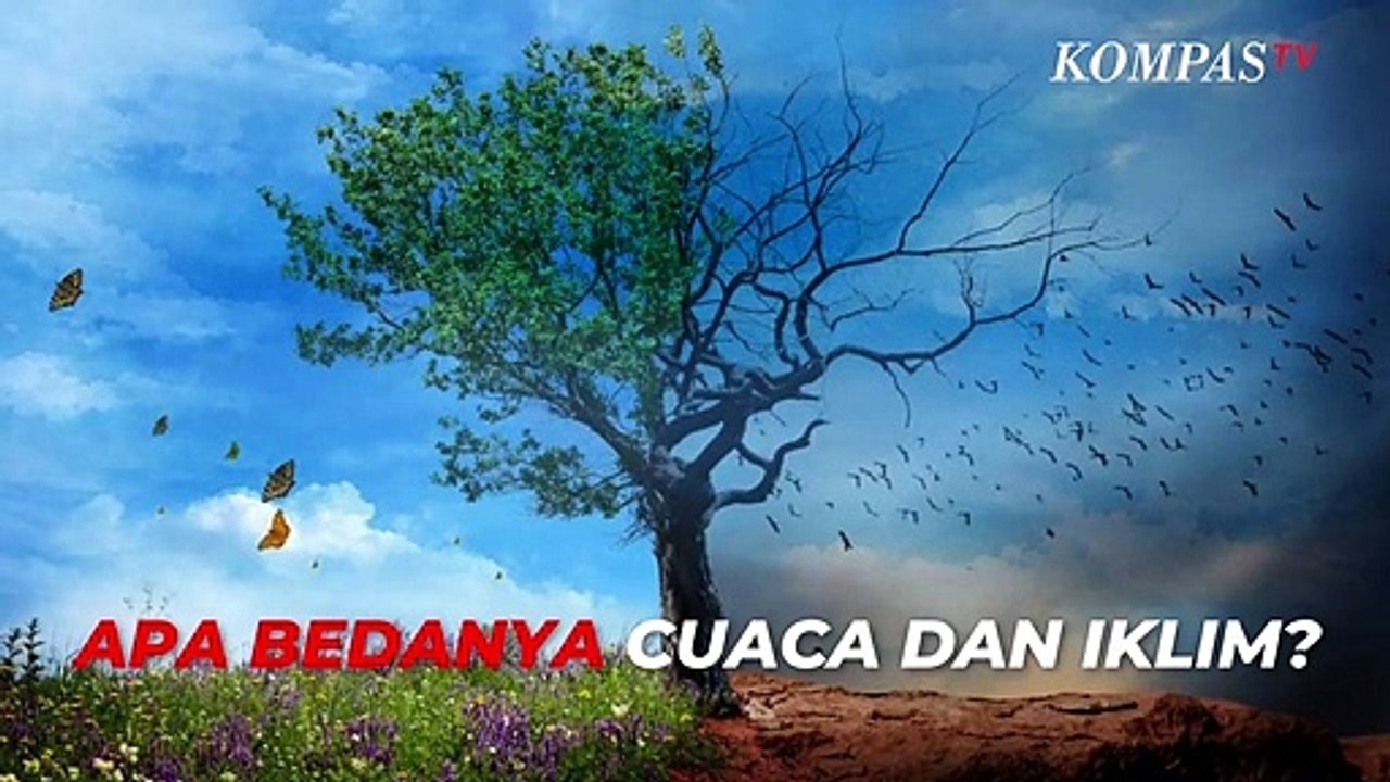 Berbeda tapi Saling Berkaitan, Apa Perbedaan Cuaca dan Iklim?