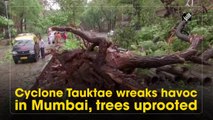 Cyclone Tauktae wreaks havoc in Mumbai, trees uprooted