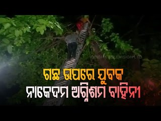 Fire Fighters Rescue Youth From 40 Feet Tall Tree in Bhubaneswar