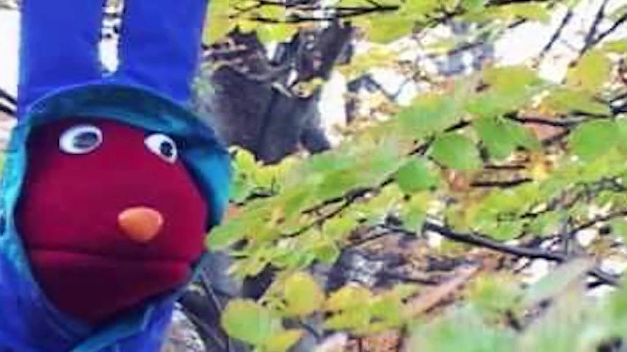 La Historia de Juan Carlos Bodoque (31 Minutos)