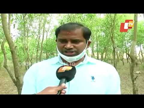 Fate Of Proposed Port At Astaranga Hangs In Balance - OTV Report