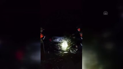 Kaçak avlanılan 15 ton 200 kilo inci kefali suya bırakıldı