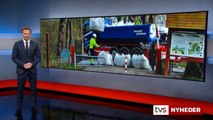 Alle sønderjyske grænseovergange er nu åbne | Grænseovergange genåbenes | Clara Christensen | Rudbøl | Tønder | 30-04-2021 | TV SYD @ TV2 Danmark