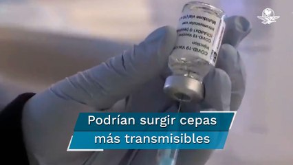 “Vacunación debería estar por encima de las desigualdades”