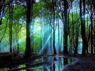 Alen Slavica - Rijeko moja zelena