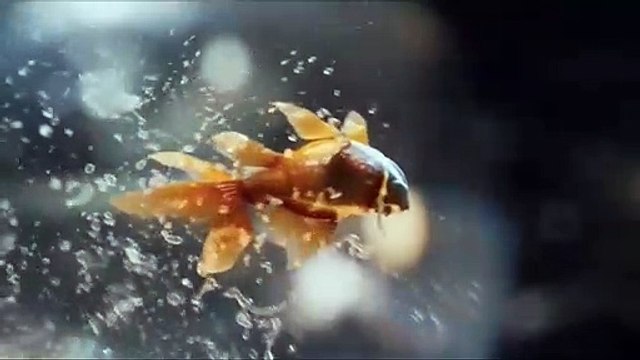 Prabhas and Shraddha Kapoor Saaho Movie Romantic Fight _ Prabhas Saaho Fights