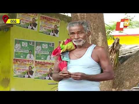 Pipili Bypolls- Poll Battle Heats Up, Campaigning On Full Swing | Voters Reaction