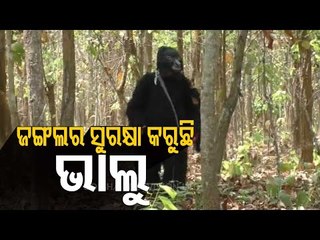Special Story | Man In 'Bear Costume' Spreads Message Of Environment Conservation In Odisha