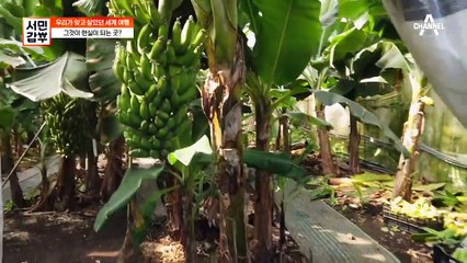 [선공개] 잠시 잊고 있던 해외여행의 설렘! 눈 앞에서 펼쳐지는 동남아 풍경!