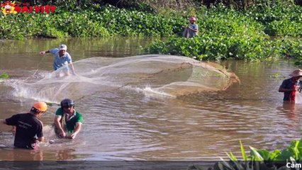 Mơ thấy bắt cá có tỉ lệ trúng cao nhất