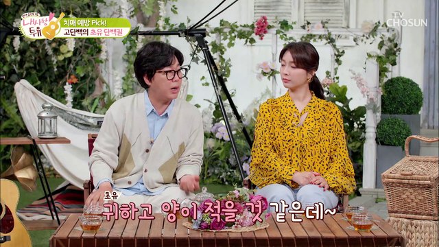 고단백의 결정체↗ ❛이것❜으로 단백질 채우고 치매 예방하자 TV CHOSUN 210518 방송