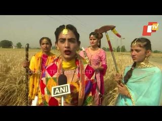 Farmers In Amritsar Hold Traditional Celebrations Ahead Of Baisakhi
