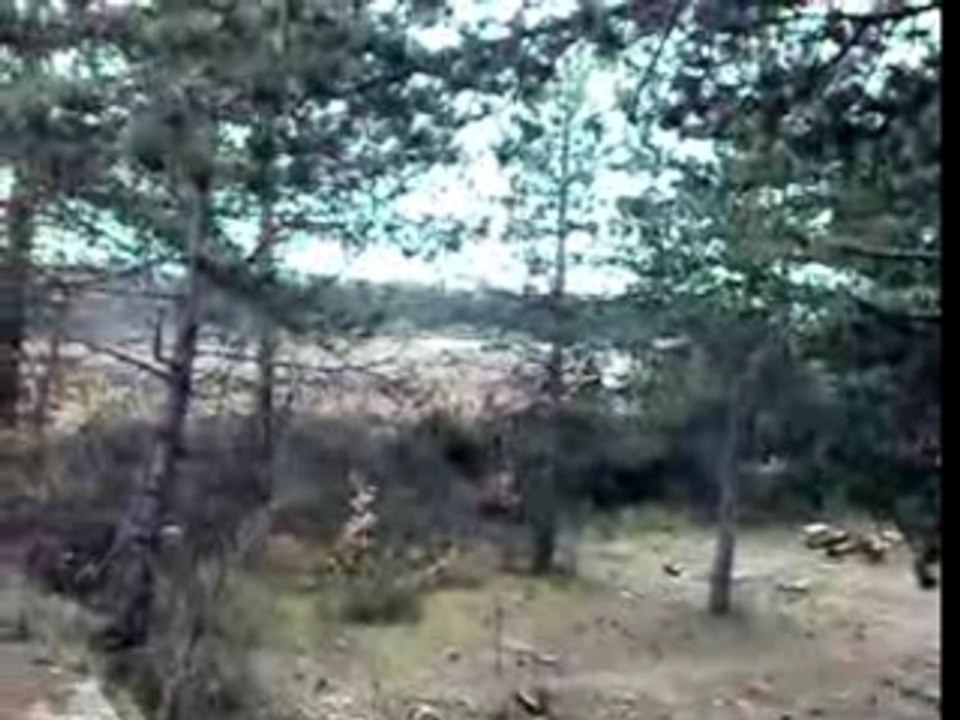 26022008010