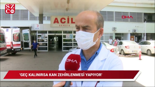 'Akrep, yılan ısırığı vakalarında emme, kesme, buz koyma gibi müdahaleler öldürebilir'