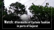Cyclonic storm Tauktae leaves trail of destruction in Gujarat