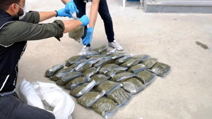 Bursa'da 32 kilogram bonzai ile böyle yakalandılar