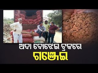 Barhampur Police Seize 900 Kgs Of Ganja, Arrest 8