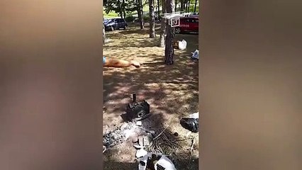 Drone ile mangal körükleyen vatandaşlar