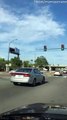 Bird Catches a Ride on Car Rooftop
