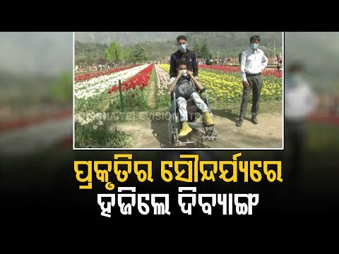 Jammu and Kashmir | Asia’s largest tulip garden Open For Public