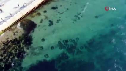 Üsküdar’da denizin dibi görüntülendi! Bakın neler çıktı