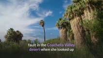New San Andreas Fault research might change how damage shakes out | Moon TV News