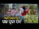 Special Story | Tribals Worship Trees During A Special Festival At Nilagiri In Balasore