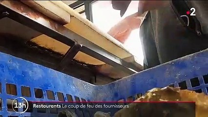 Hérault : les ostréiculteurs se préparent avant la réouverture des terrasses
