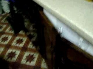 titi a la maison hier