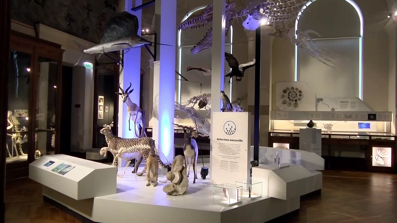 Réouverture des lieux culturels "La culture est essentiel, c'est ce qui nous fait vivre" (Benoît Pay