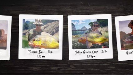 The Catch Carp & Coarse Gameplay Trailer