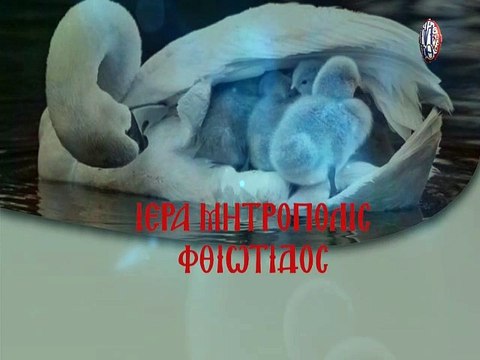 Έρανος Αγάπης 2021 της Ιεράς Μητρόπολης Φθιώτιδας, 17 με 31 Μαϊου