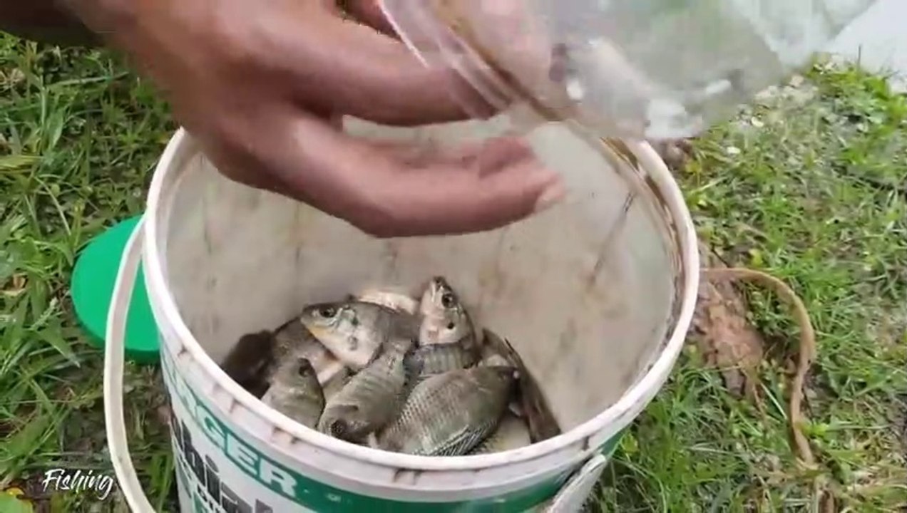 Bottle Fish Trap  Amazing Boy Catch Fish With Plastic Bottle Fish Trap Part2_480p