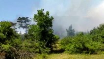 BALIKESİR - Orman yangını çıktı