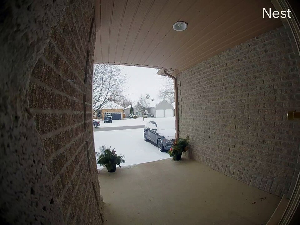 Falcon Captures Prey at Front Door