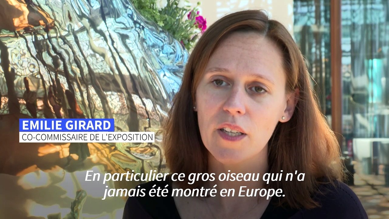 "Jeff Koons Mucem": à Marseille, le kitsch néo-pop rencontre les arts populaires