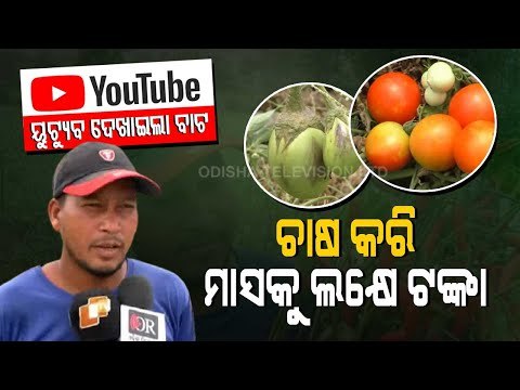 Special Story | Binika | Man Scripts Success By Learning Farming Technique From YouTube