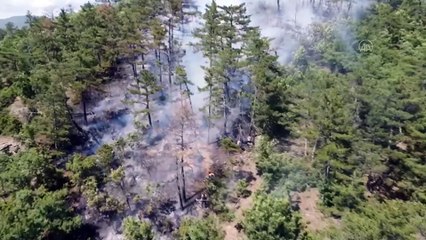 BALIKESİR - Orman yangını çıktı (2)