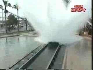 Surprise Shower