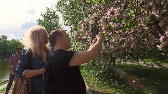 Москва установила рекорд жары