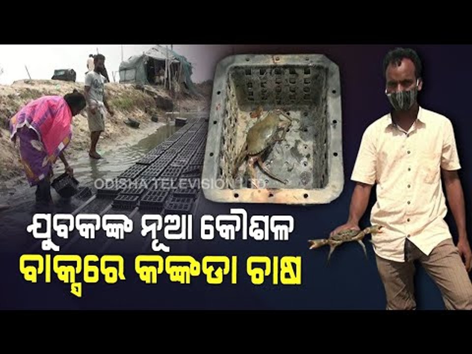 Crab Farming In Box | Youth Earns Rs 5 Lakh Annually Implementing Innovative Technique