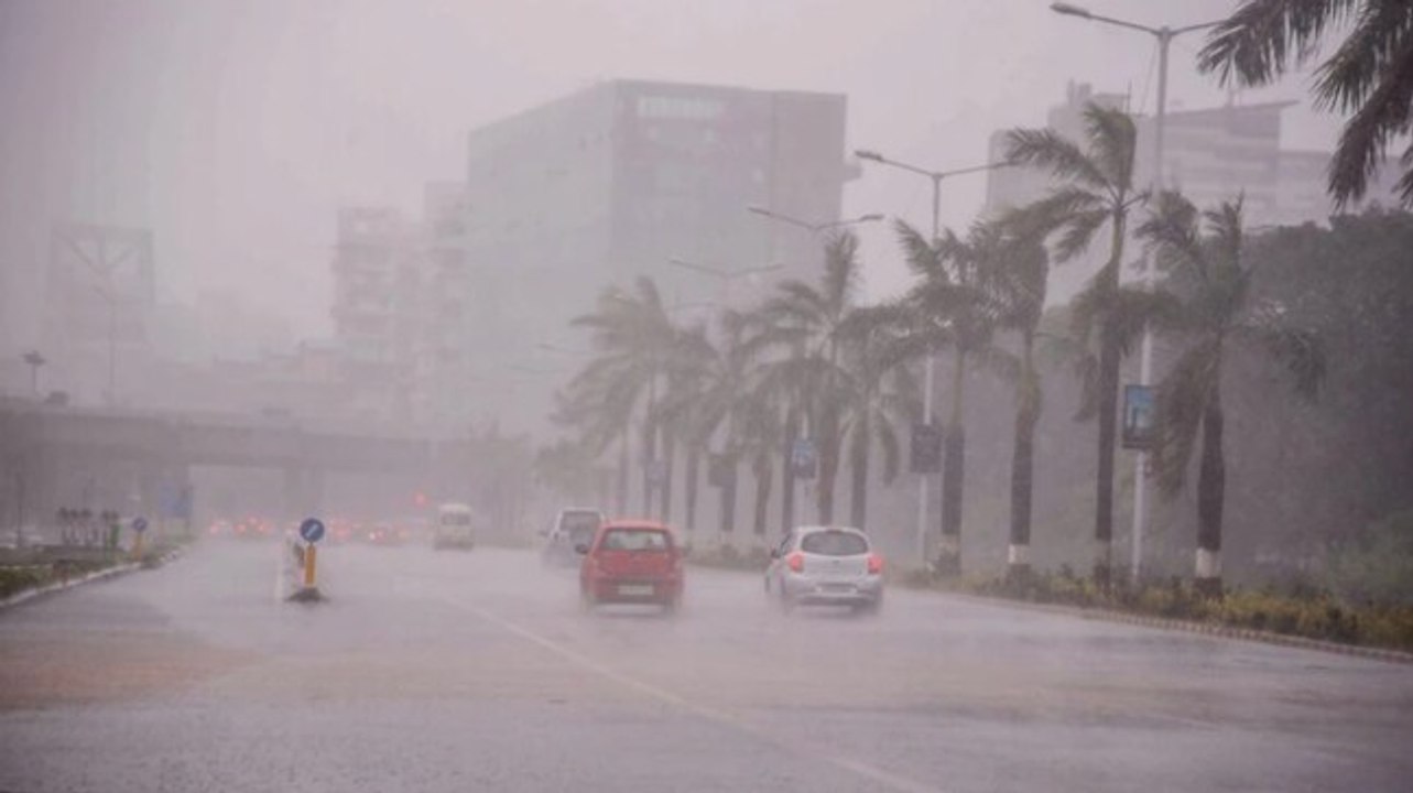 Cyclone Tauktae update; efficacy of anti-Covid drugs; more