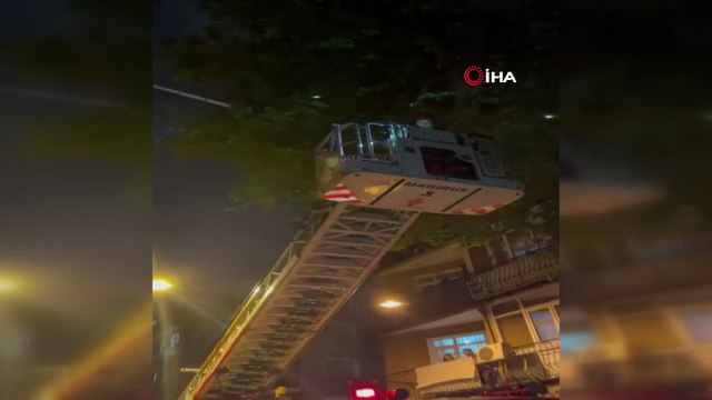 Beyoğlu'nda dallarına takıldığı ağaçta mahsur kalan yaralı Ebabil kuşu itfaiye ekipleri tarafından kurtarıldı