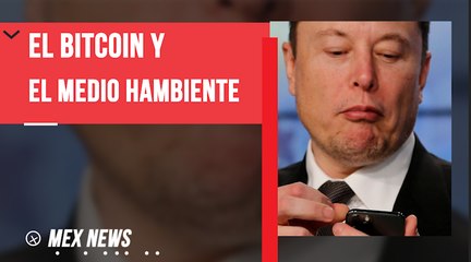 ¿CÓMO AFECTAN LAS DECISIONES DE ELON MUSK RESPECTO A LAS CRIPTOMONEDAS?