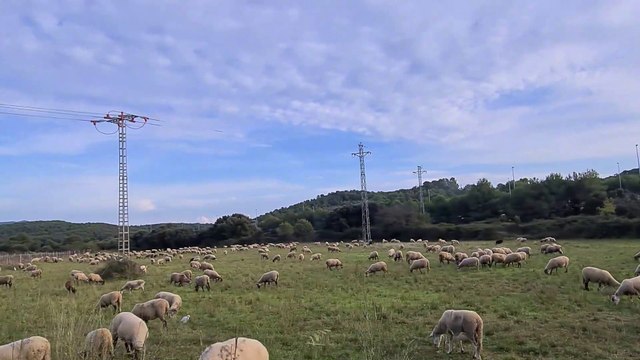 Let's visit and enjoy Saint Pere de Ribes Barcelona, Spain