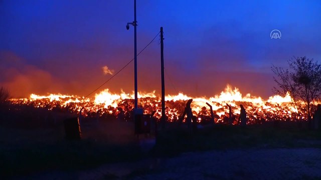 AFYONKARAHİSAR - Biyokütle enerji santralinde yangın çıktı (3)