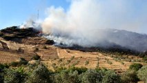 Son dakika haber... Aydın'da makilik ve tarım arazisi yangını